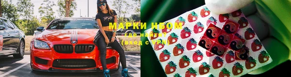 стаф Магадан