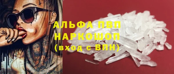 молекула духа Мегион