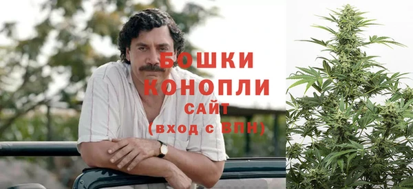 молекула духа Мегион