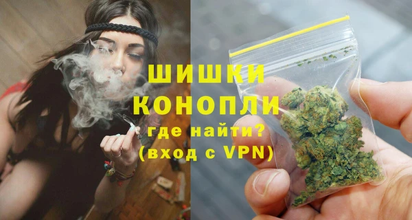 молекула духа Мегион