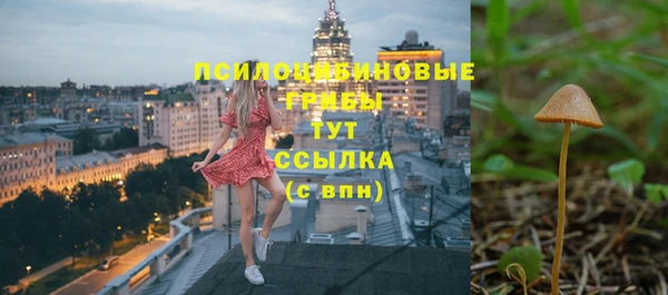 кокс Магас